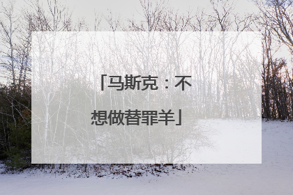马斯克：不想做替罪羊