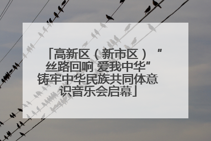 高新区（新市区）“丝路回响 爱我中华”铸牢中华民族共同体意识音乐会启幕