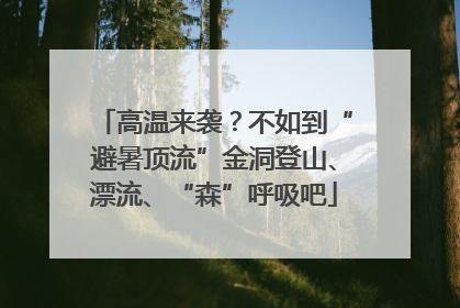 高温来袭？不如到“避暑顶流”金洞登山、漂流、“森”呼吸吧