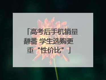 高考后手机销量翻番 学生选购更重“性价比”