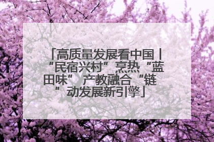 高质量发展看中国丨“民宿兴村”烹热“蓝田味” 产教融合“链”动发展新引擎