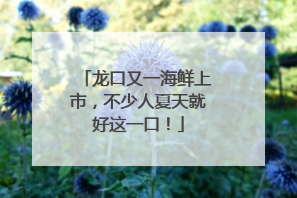 龙口又一海鲜上市，不少人夏天就好这一口！