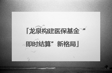 龙泉构建医保基金“即时结算”新格局
