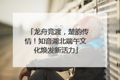 龙舟竞渡，楚韵传情！知音湖北端午文化焕发新活力