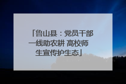 鲁山县：党员干部一线助农耕 高校师生宣传护生态