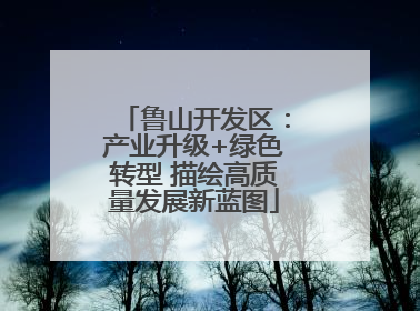 鲁山开发区：产业升级+绿色转型 描绘高质量发展新蓝图