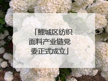 鲤城区纺织面料产业链党委正式成立