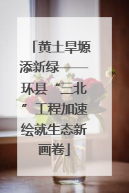 黄土旱塬添新绿——环县“三北”工程加速绘就生态新画卷