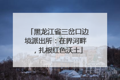 黑龙江省三岔口边境派出所：在界河畔，扎根红色沃土