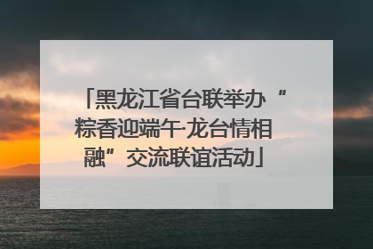 黑龙江省台联举办“粽香迎端午·龙台情相融”交流联谊活动