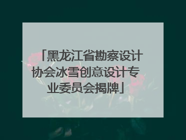 黑龙江省勘察设计协会冰雪创意设计专业委员会揭牌