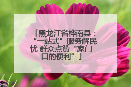 黑龙江省桦南县：“一站式”服务解民忧 群众点赞“家门口的便利”