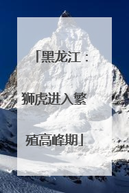 黑龙江：狮虎进入繁殖高峰期