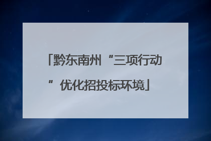 黔东南州“三项行动”优化招投标环境