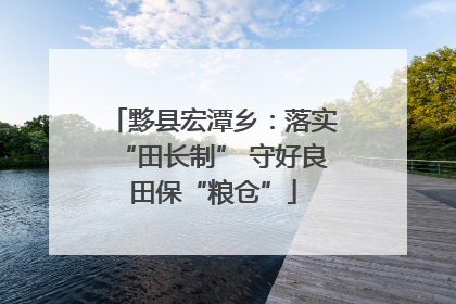 黟县宏潭乡：落实“田长制” 守好良田保“粮仓”