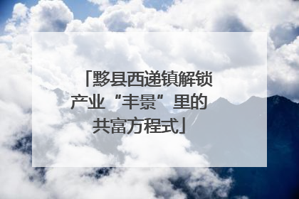 黟县西递镇解锁产业“丰景”里的共富方程式
