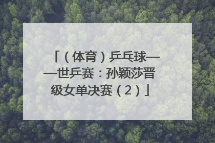 （体育）乒乓球——世乒赛：孙颖莎晋级女单决赛（2）