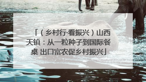 （乡村行·看振兴）山西天镇：从一粒种子到国际餐桌 出口富农促乡村振兴