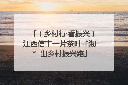 （乡村行·看振兴）江西信丰一片茶叶“沏”出乡村振兴路