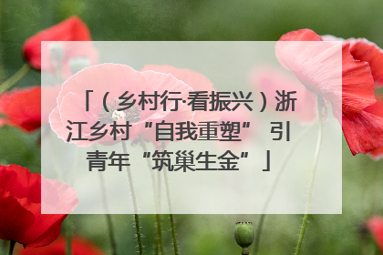 （乡村行·看振兴）浙江乡村“自我重塑” 引青年“筑巢生金”