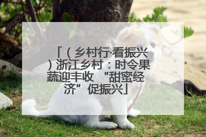 （乡村行·看振兴）浙江乡村：时令果蔬迎丰收 “甜蜜经济”促振兴