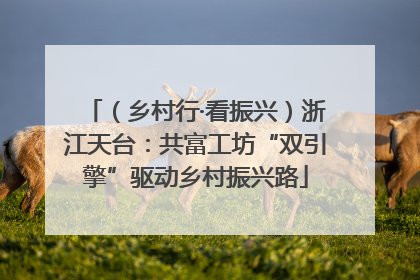 （乡村行·看振兴）浙江天台：共富工坊“双引擎”驱动乡村振兴路