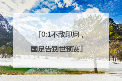 0:1不敌印尼，国足告别世预赛
