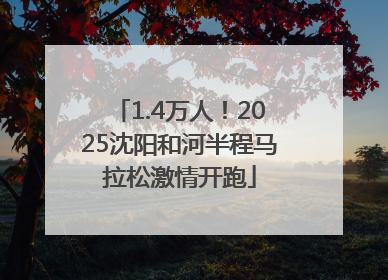 1.4万人！2025沈阳和河半程马拉松激情开跑