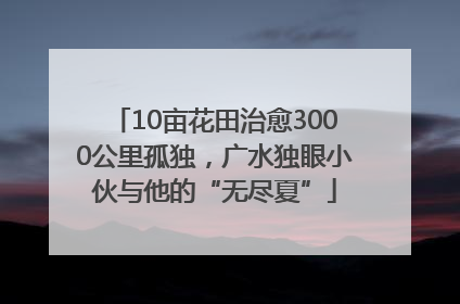 10亩花田治愈3000公里孤独，广水独眼小伙与他的“无尽夏”