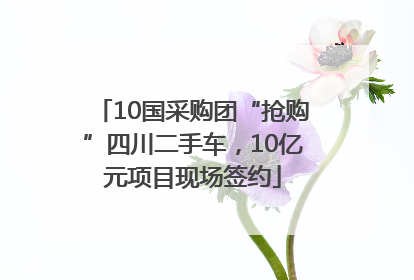 10国采购团“抢购”四川二手车，10亿元项目现场签约