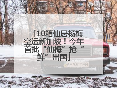 10箱仙居杨梅空运新加坡！今年首批“仙梅”抢“鲜”出国
