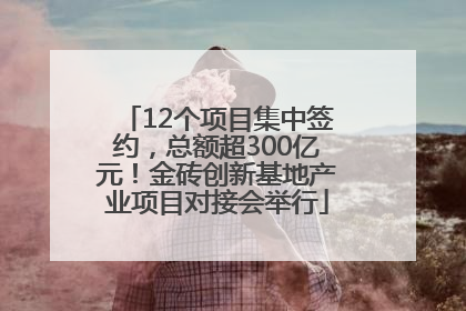 12个项目集中签约，总额超300亿元！金砖创新基地产业项目对接会举行