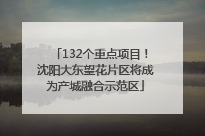 132个重点项目！沈阳大东望花片区将成为产城融合示范区