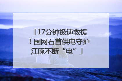 17分钟极速救援！国网石首供电守护江豚不断“电”