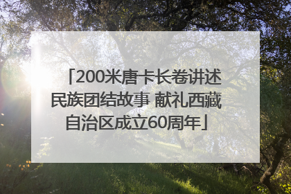 200米唐卡长卷讲述民族团结故事 献礼西藏自治区成立60周年