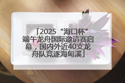 2025“海口杯”端午龙舟国际邀请赛启幕，国内外近40支龙舟队竞逐海甸溪