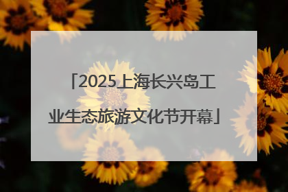 2025上海长兴岛工业生态旅游文化节开幕