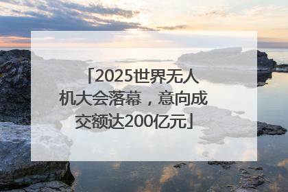 2025世界无人机大会落幕，意向成交额达200亿元