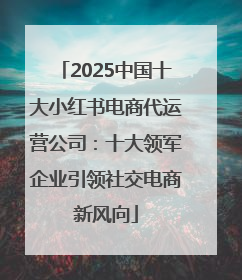 2025中国十大小红书电商代运营公司：十大领军企业引领社交电商新风向