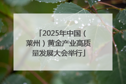 2025年中国（莱州）黄金产业高质量发展大会举行