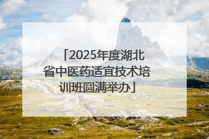 2025年度湖北省中医药适宜技术培训班圆满举办