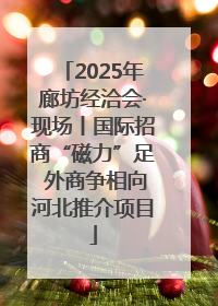 2025年廊坊经洽会·现场丨国际招商“磁力”足 外商争相向河北推介项目