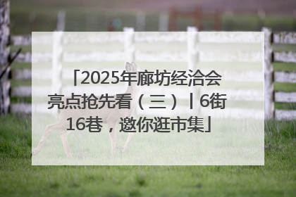 2025年廊坊经洽会亮点抢先看（三）丨6街16巷，邀你逛市集