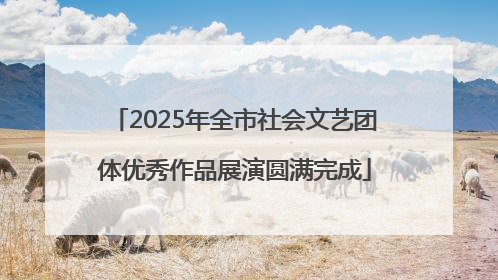 2025年全市社会文艺团体优秀作品展演圆满完成