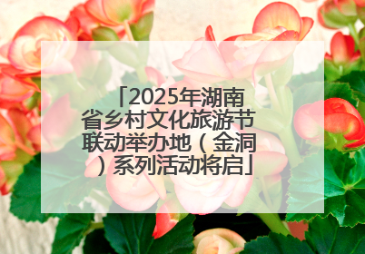 2025年湖南省乡村文化旅游节联动举办地（金洞）系列活动将启