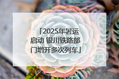 2025年暑运启动 银川铁路部门增开多次列车