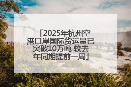 2025年杭州空港口岸国际货运量已突破10万吨 较去年同期提前一周
