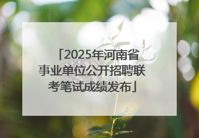 2025年河南省事业单位公开招聘联考笔试成绩发布