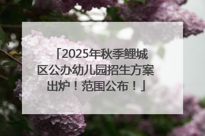 2025年秋季鲤城区公办幼儿园招生方案出炉！范围公布！