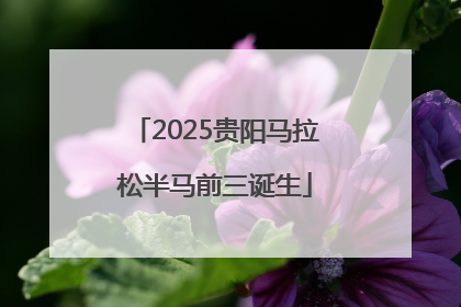 2025贵阳马拉松半马前三诞生